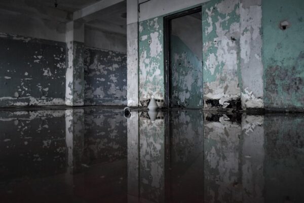 Creative Strategies for Transforming Your Space After Water Damage Repair